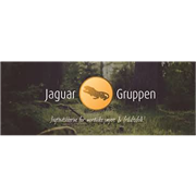 Jaguar gruppen.png