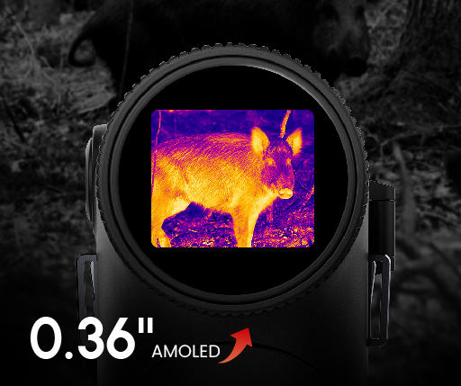 4. Upgraded visuals, enlarged AMOLED Display.jpg