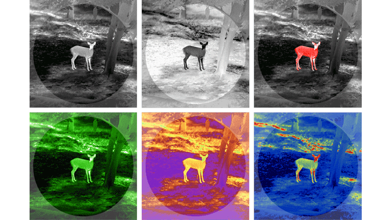 Una guía sobre los prismáticos de detección térmica: ¿Cuál es la diferencia entre los prismáticos térmicos y los nocturnos?