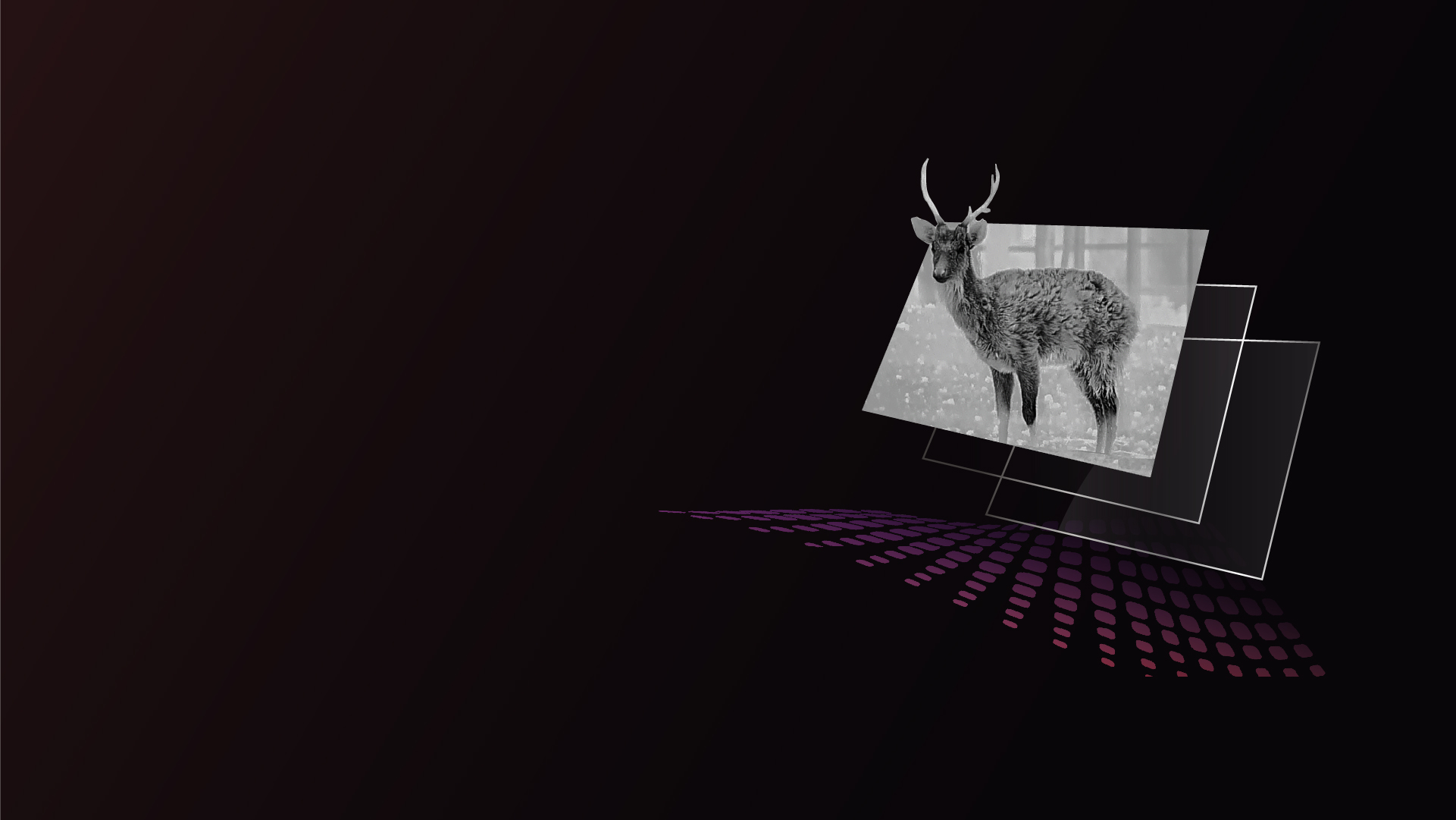 Pantalla AMOLED de 1920 x 1080