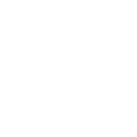 Anillo de zoom