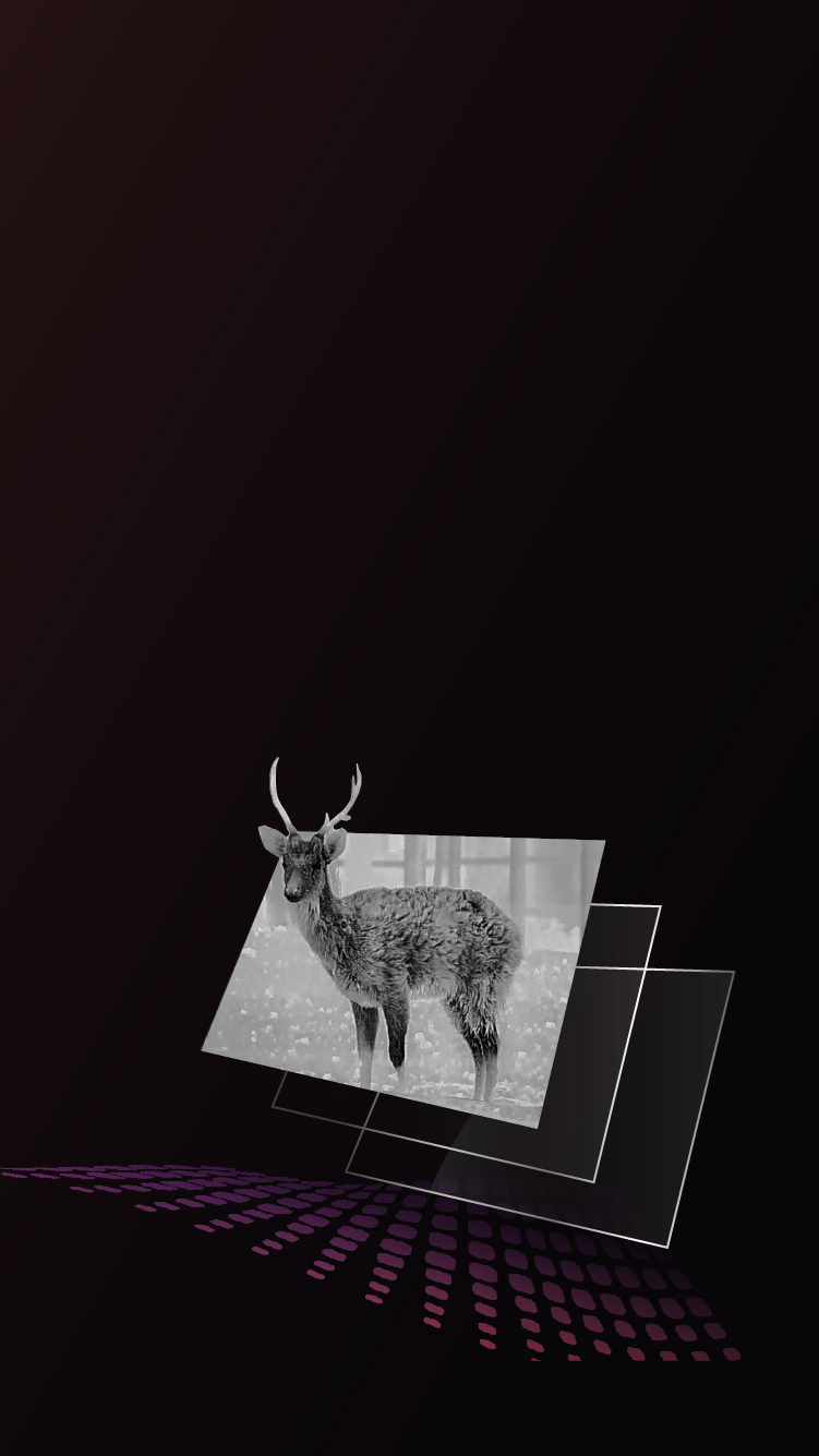 Pantalla AMOLED de 1920 x 1080