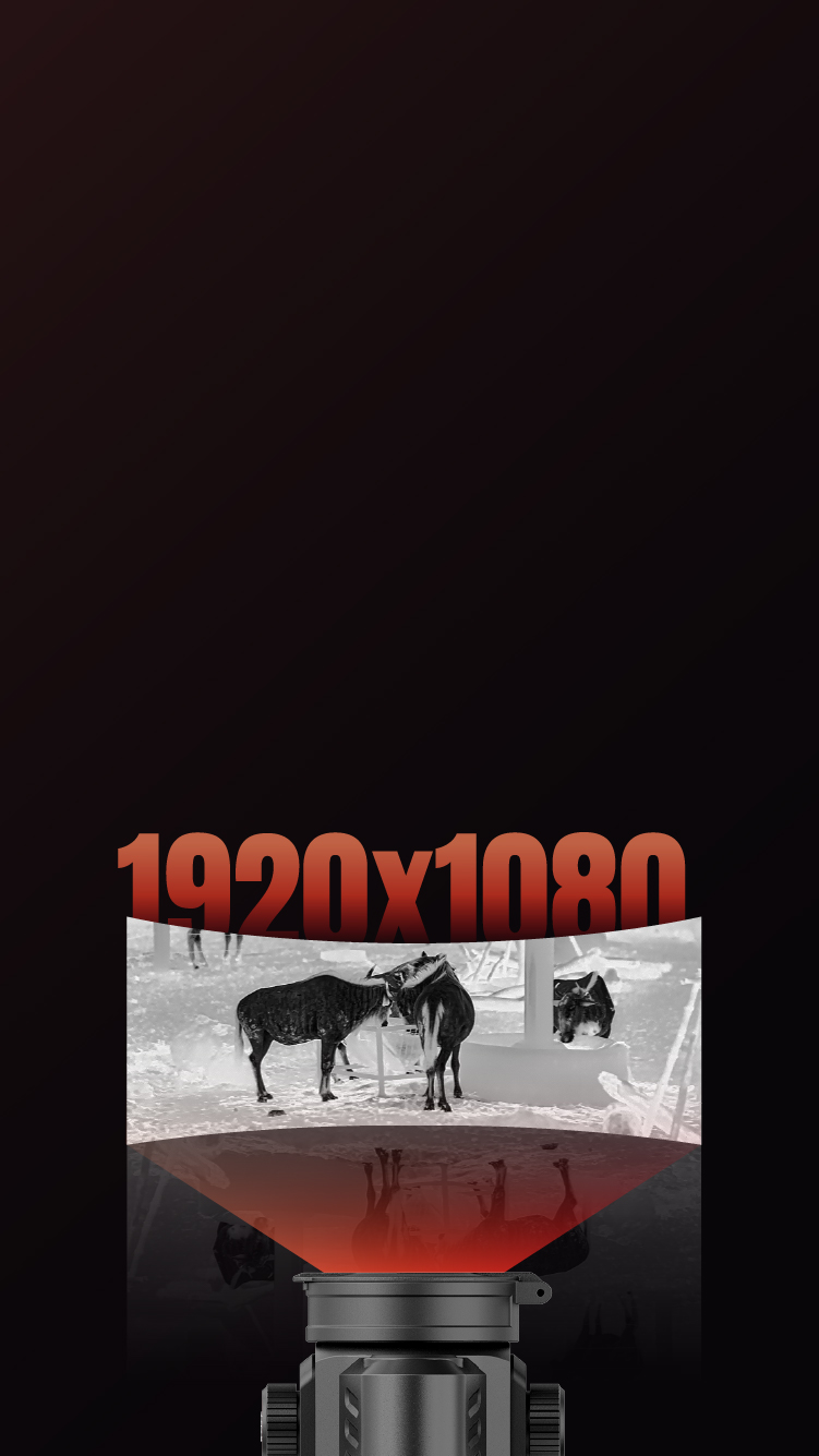 Pantalla AMOLED Full HD de 1920 x 1080