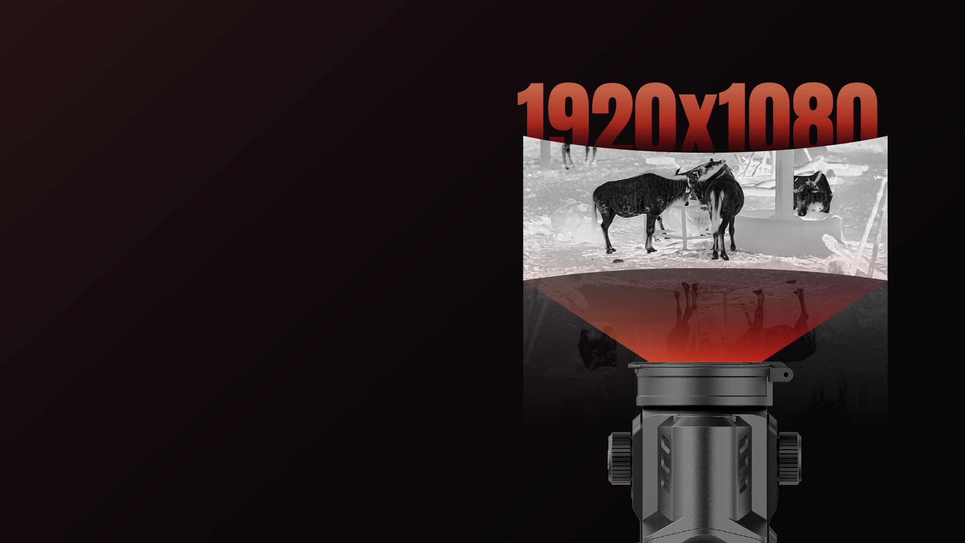 Pantalla AMOLED Full HD de 1920 x 1080